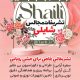 سبد خرید و پرداخت