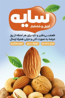 سفارش طرح کارت ویزیت فروش آجیل و خشکبار دارای عکس مغزیجات