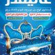 سبد خرید و پرداخت