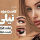 سبد خرید و پرداخت